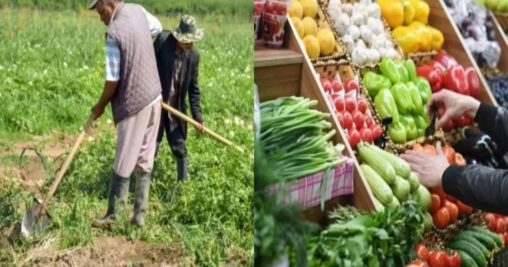 Kəndli ucuz satmaqdan, şəhərli baha almaqdan narazıdır 3 qat qiymət fərqi