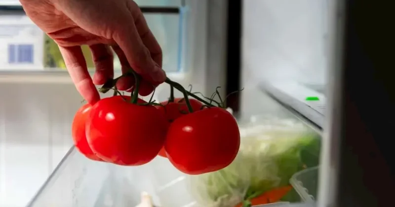 Pomidoru soyuducuda saxlamaq dadını dəyişirmiş