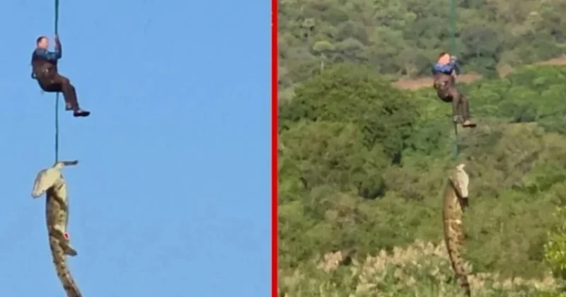 İtkin düşən iş adamı nəhəng timsahın mədəsində “tapıldı” Video