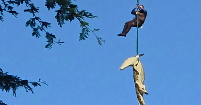 Timsahın qarnından iş adamı çıxdı