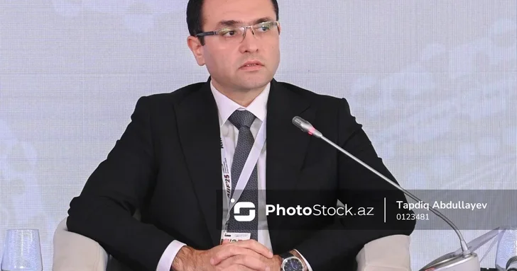 Меджнун Мамедов: Аграрная выставка в Баку объединила форумы, панели и поездки на хозяйства