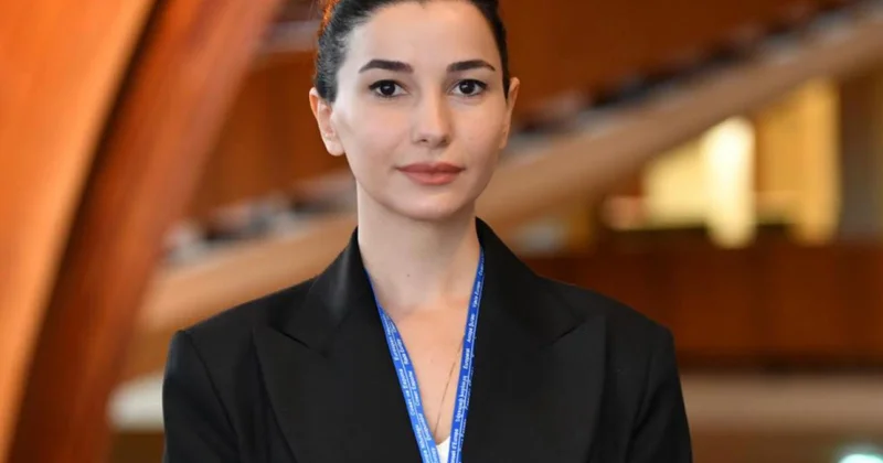 Gürcüstanlı nazir: Biz Azərbaycan, Orta Asiya ölkələri və Çin ilə fəal çalışırıq