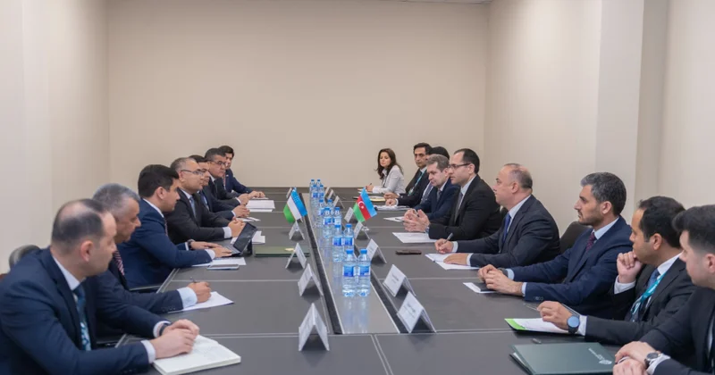 Azərbaycan və Özbəkistan üzümçülük sahəsində əməkdaşlığın genişləndirilməsində maraqlıdır