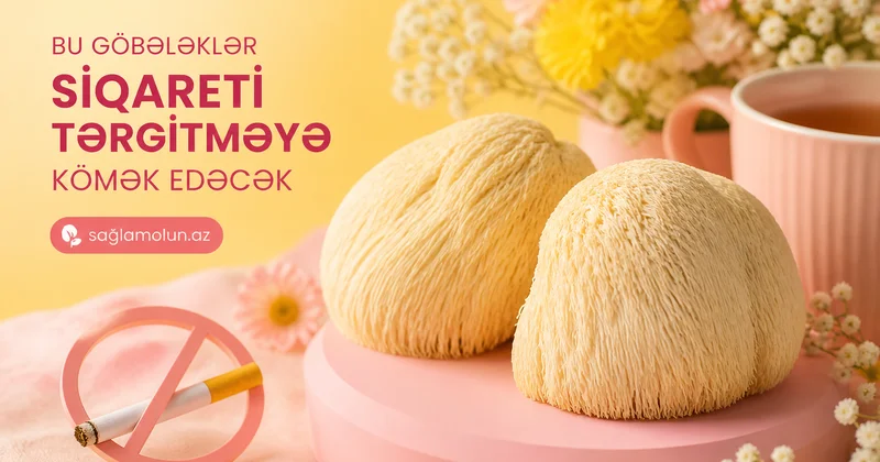 Sehirli göbələklər nikotin asılılığından xilas edir