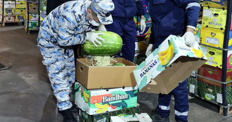 Азербайджанские таможенники обнаружили в грузе с арбузами более 31 кг гашиша