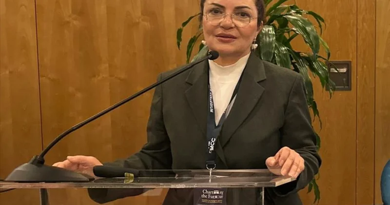 Professor : Azərbaycan Avropaya sülhün, suverenliyin və siyasi ləyaqətin dərsini verir
