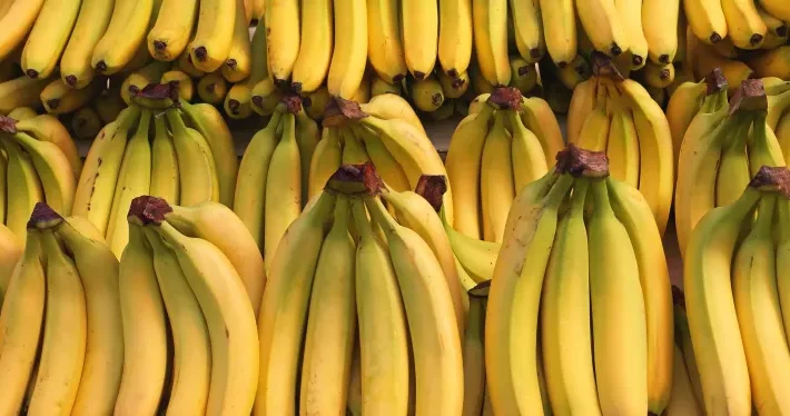 Azərbaycanın 2 şirkəti ilk dəfə banan yetişdirir 200 hektarlıq istixanalarında ildə 1000 tona yaxın banan