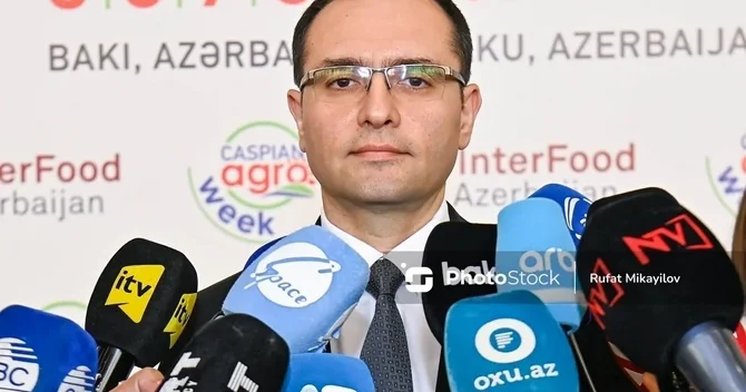 Nazir: Yağışlar taxılçılığa müsbət, meyvəçiliyə mənfi təsir edə bilər