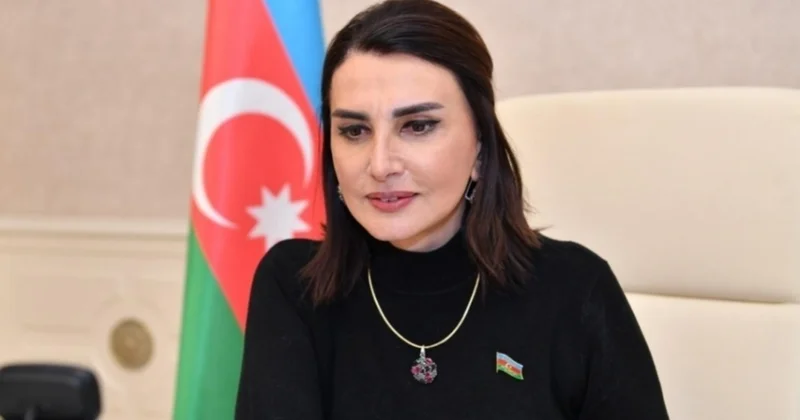 Bərabərhüquqlu tərəfdaşlıq, açıq dialoq, milli maraqlara əsaslanan prinsipial mövqe ŞƏRH