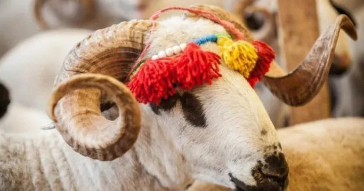 Qurban bayramında leysan yağacaq