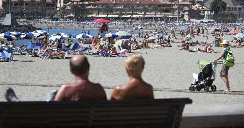 Turistik bölgələrdə elektrik qarışqaları aşkar edildi: Təhlükəsi nədir?