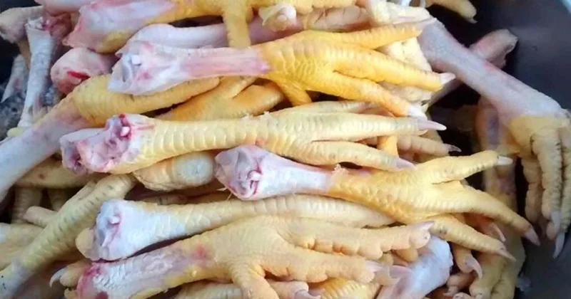 Azərbaycan Çinə toyuq ayaqları ixrac edəcək