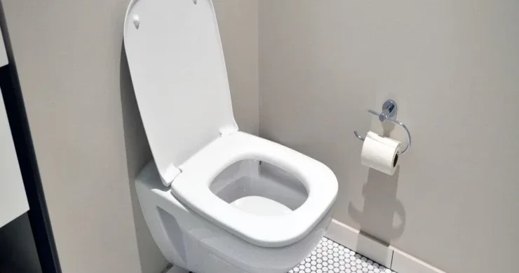 Evdə tualet oturacağından daha çirkli olan 5 əşya