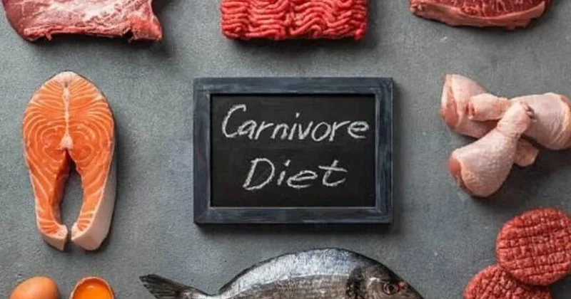 Carnivore pəhrizi nədir?