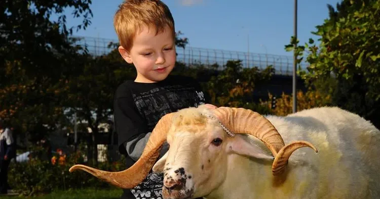 Qurban bayramının səbəb və məqsədini uşaqlara bu yaşlarda çatdırmalıyıq Psixoloq AÇIQLADI