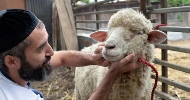 Qurban ibadəti Quran da yoxdur Azərbaycanda qadağan edilə bilər İlahiyyatçı