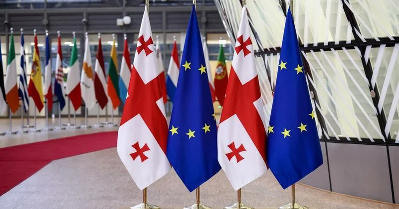 Gürcüstan Aİ yə üzvlük üçün ədalətli yanaşma tələb etdi