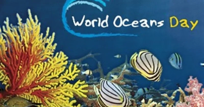 Planetin zibilqabı : okeanlar