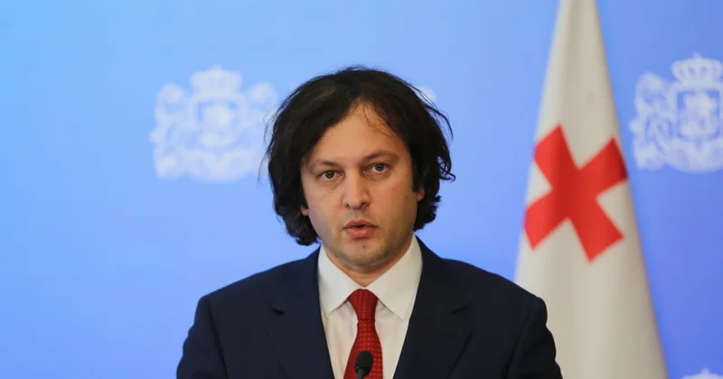 Gürcüstan Aİ nin ekstremizmi maliyyələşdirdiyinə dair sübutlar açıqladı