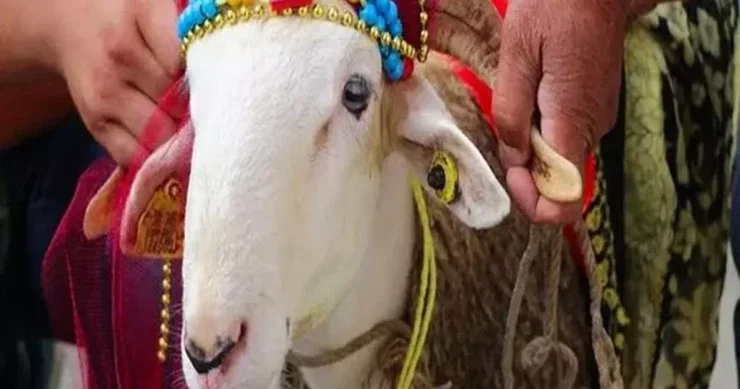 Bayram günləri yediklərimizə niyə diqqət etməliyik? ARAŞDIRMA
