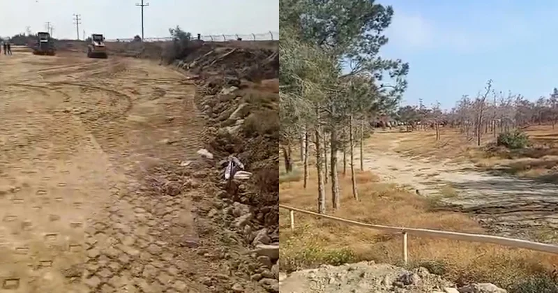 Sakinlərdən HƏYƏCAN TƏBİLİ: Kürdəxanı meşə massivi quruyur