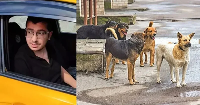 Türkiyədə qandonduran hadisə: Həkim heyvanları zorlayıb, vəhşicəsinə öldürüb
