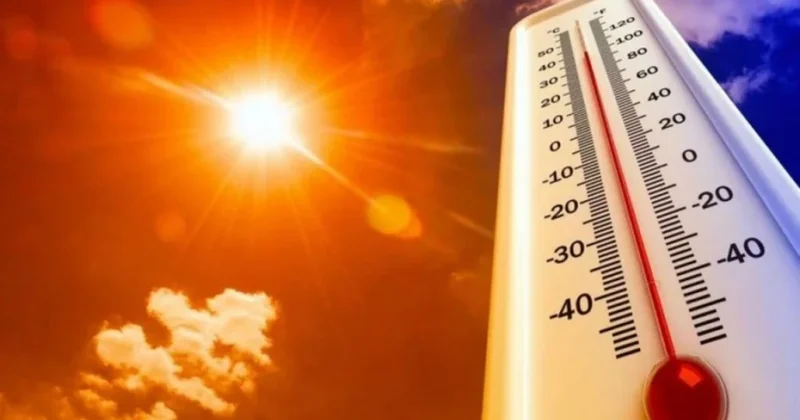 Alimlər təşviş içində: Tarixin ən isti ili nə vaxt olacaq?