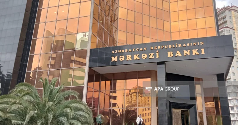 Mərkəzi Bank ötən il valyuta aktivlərinin idarə edilməsindən 500 mln. dollara yaxın gəlir əldə edib