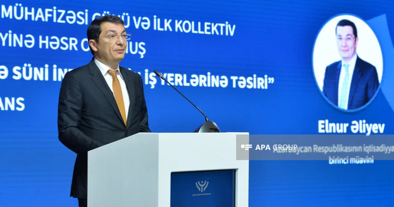 Nazir müavini: Çin şirkətləri ilə Qarabağda birgə layihələrin icrası hər iki tərəf üçün faydalı olar