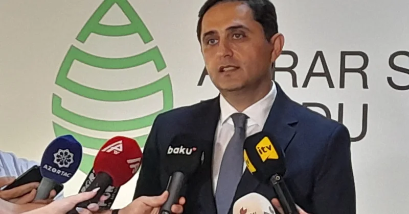 Sədr: Pambıq sahələrinə dəymiş zərərə görə 1 milyon manatdan çox sığorta ödənişi edilib