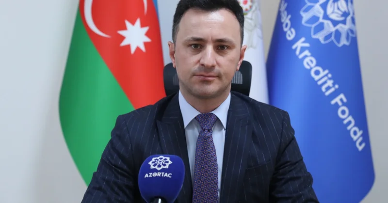 TTKF sədri: Hər gün 100 ə yaxın tələbə kredit üçün müraciət edir MÜSAHİBƏ