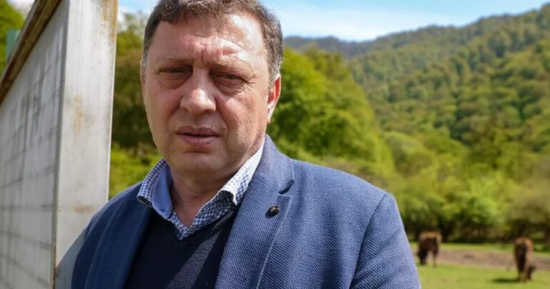 UNEP: Azərbaycanda zubr və ceyran populyasiyalarını bərpası davam etdirilir