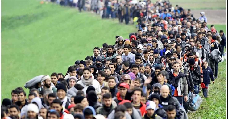 Avropanın miqrantlardan xilas yolu yeni qaydalar və mexanizmlər