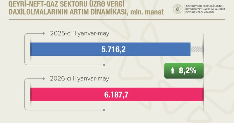 Qeyri neft qaz sektorundan vergi daxilolmaları 8,2 faiz artıb