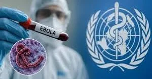 ÜST Ebola ilə mübarizə planını elan edib