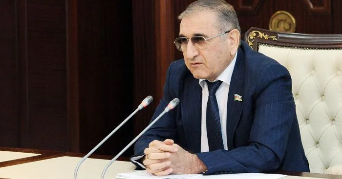 Komitə sədri: “Cərimə olmasa, insanlar bütün yaşıllıqları məhv edərlər”