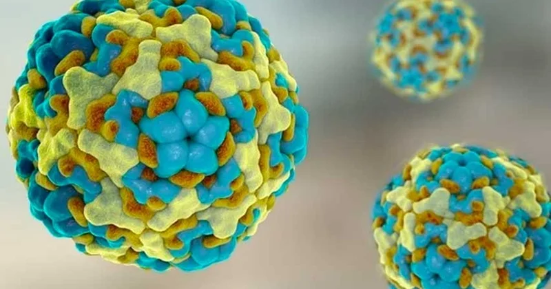 Alimlər çip üzərində süni insan bağırsağı yaradaraq Enterovirus A71 infeksiyasının fəaliyyətini laboratoriya şəraitində canlandırıblar