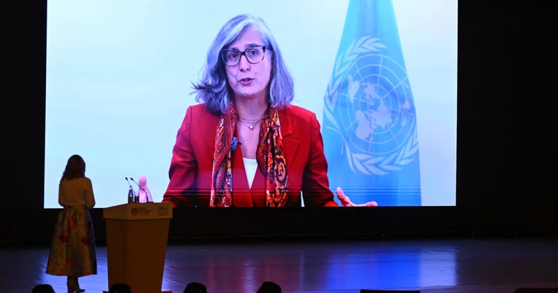 UN Habitat ın icraçı direktoru: Şəhərlərimiz təbii sistemlərlə ahəngdar şəkildə inkişaf etməlidir
