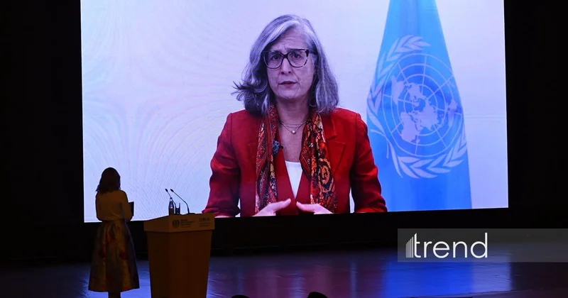 В UN Habitat отметили роль COP29 и WUF13