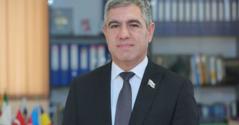 Azərbaycan investisiya cəlb edən ölkədən investor dövlətə çevrilib ŞƏRH
