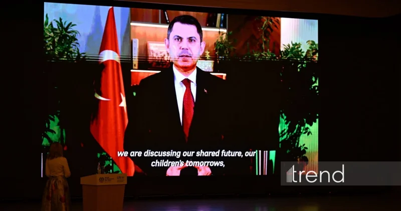 COP31 сосредоточится на реализации климатических мер