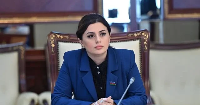“Onlar regionda sabitlik istəyirsə, sülhə səs verməlidir, nəinki revanşistlərə”