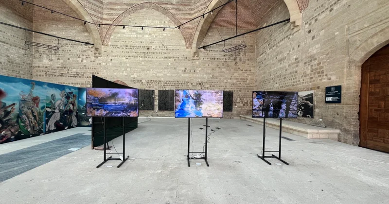 Ədirnə Biennalesində azərbaycanlı rəssamın əsərləri sərgilənir