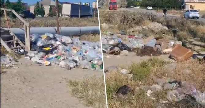 Sakinlər zibili boş əraziyə atır, qurum təmizləmir, zibil qutuları azdır Mehdiabadı ZİBİL BÜRÜYÜB