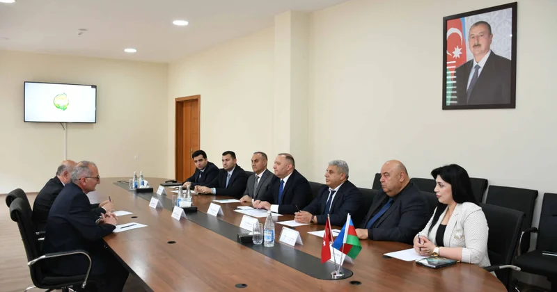 Türkiyənin Sinop Universiteti ADAU ilə əməkdaşlıqda maraqlıdır