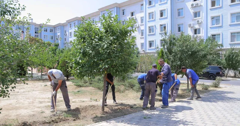 Naxçıvan şəhərində yaşıllıqlara aqrotexniki qulluq göstərilib