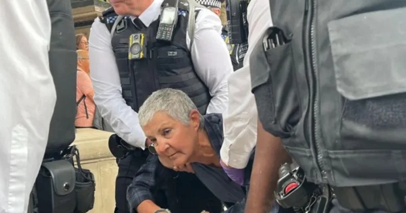 Londonda aksiya zamanı 20 dən çox şəxs saxlanıldı