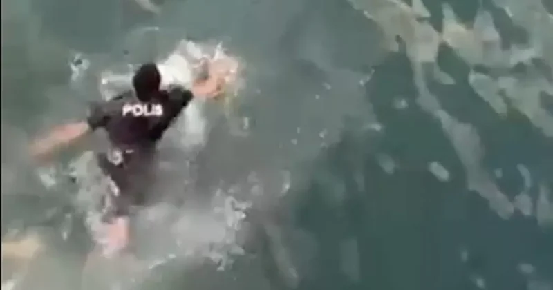 В Баку сотрудник полиции героически спас девушку ВИДЕО
