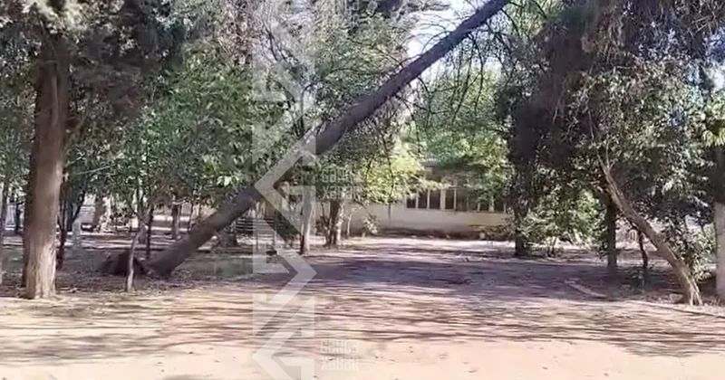 Gəncədə parkda təhlükəli mənzərə