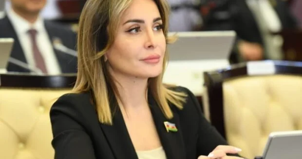 “İƏT in 17 ci zirvə görüşü sülh və inkişafın bünövrəsinin iqtisadi əməkdaşlığa söykəndiyini təsdiqlədi” ŞƏRH EDİLDİ